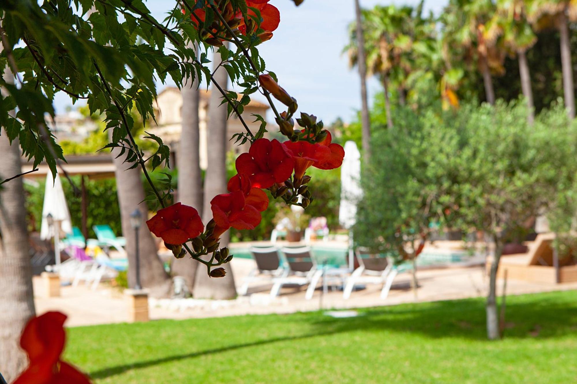 S'Hort De Son Caulelles - Adults Only Villa Marratxí Exterior foto